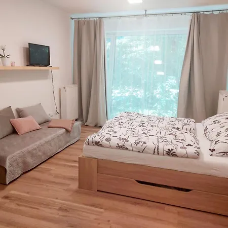 Iris 아파트 포데브라디